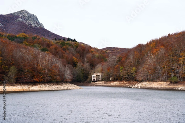 Obraz Beautiful colorful forest during autumn in Yosemite Park