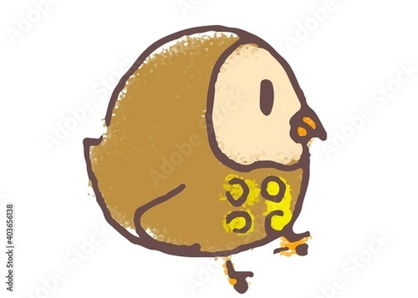 Obraz An owl printed stars