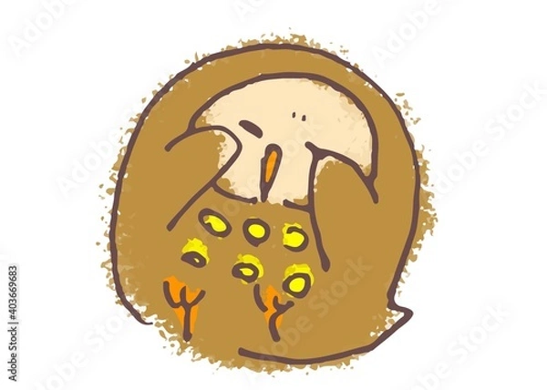 Obraz An owl printed circles called Earl