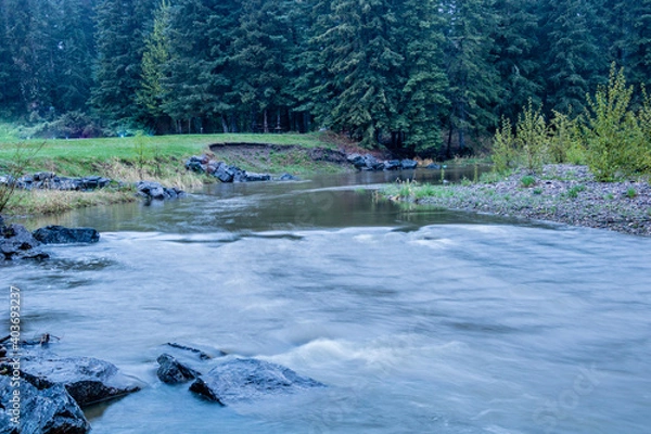Obraz Early morning river run begining of spring. Tay River Provincial Recreation Area, Alberta, Canada