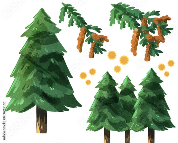 Obraz スギの木　水彩風