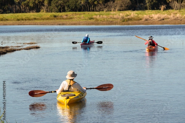 Obraz Tourists paddle their kayaks on the river at Myakka River State Park in Sarasota Florida