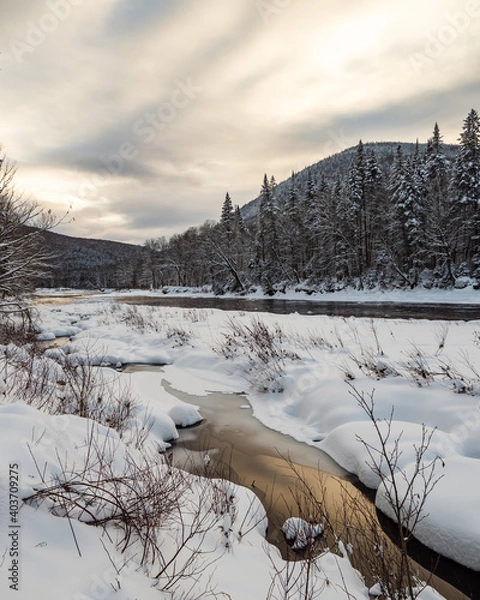 Fototapeta Winter by the River