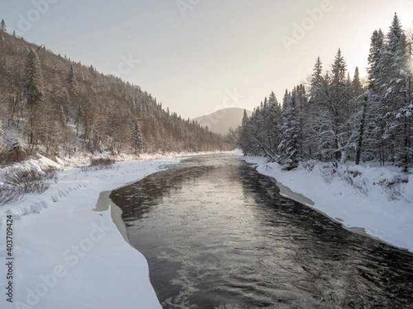 Fototapeta Winter by the River