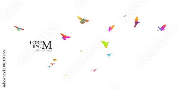 Fototapeta Bird watercolor. A flock of colorful birds. Mixed media. Vector illustration