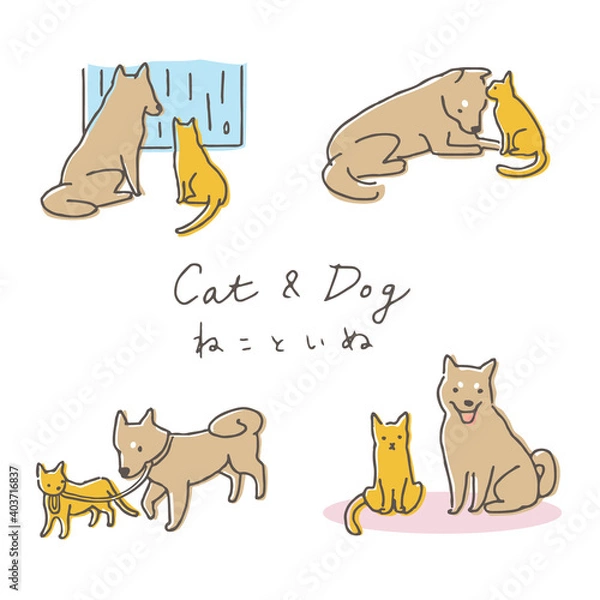 Fototapeta ペット・猫と犬　ポーズ