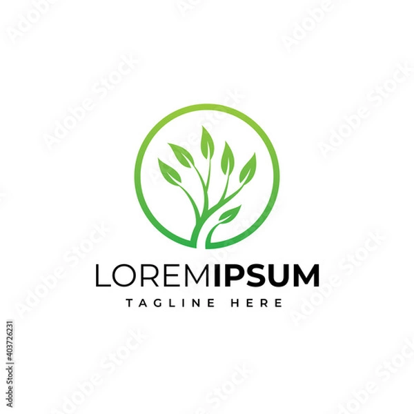 Obraz Circle tree nature logo design vector template