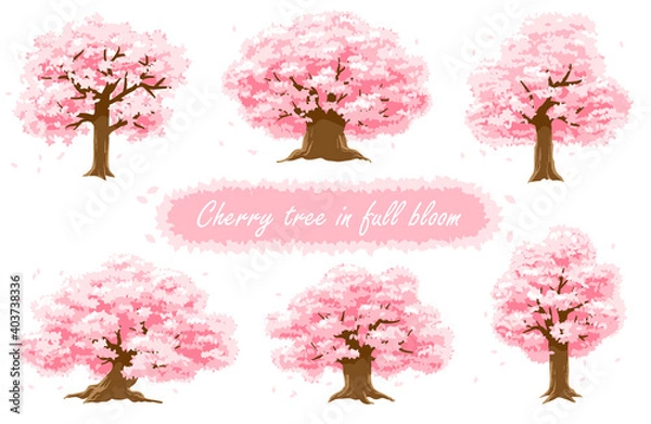 Obraz 満開の桜の木のバージョン