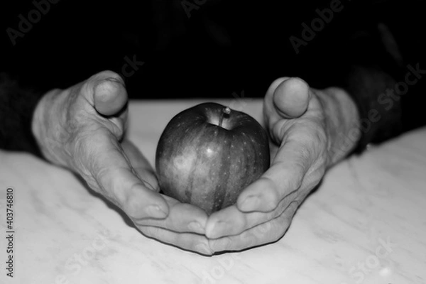 Obraz the old man's hands hold an apple