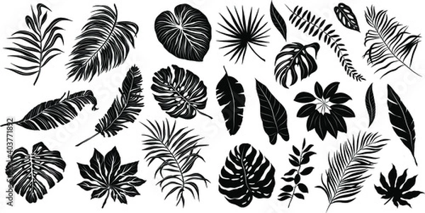 Fototapeta palm leaves set pattern black and white vector illustration 