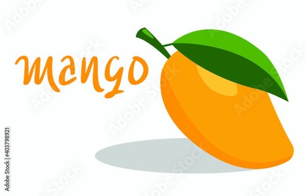 Obraz Mango fruit vector isolated logo