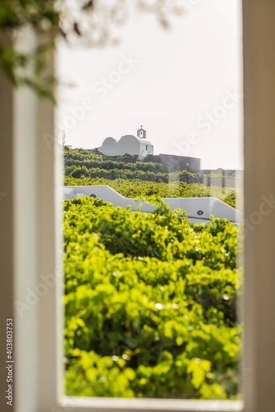 Fototapeta window in the window