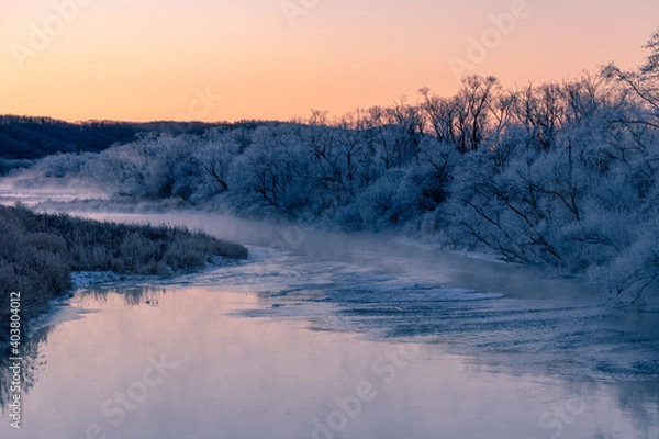 Fototapeta 北海道冬の風景　阿寒郡鶴居村の樹氷と気嵐