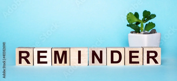 Fototapeta The word REMINDER is written on wooden cubes near a flower in a pot on a light blue background