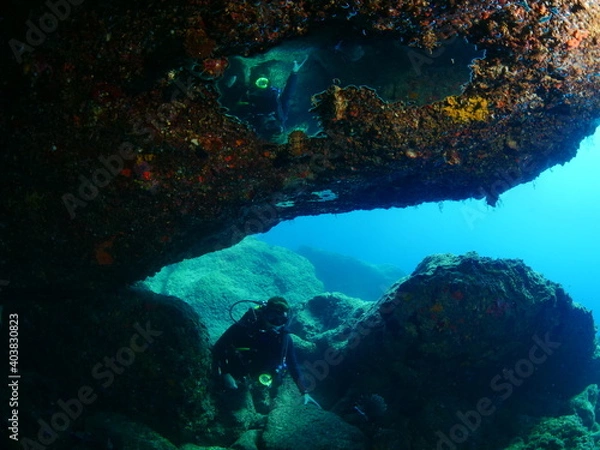 Fototapeta scuba divers exploring the reefs and  rocks ocean scenery topography underwater landscape