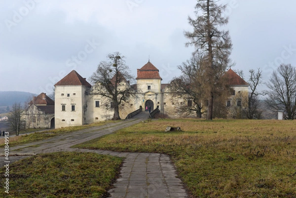 Obraz Svirzh castle