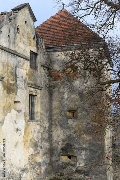 Obraz Svirzh castle