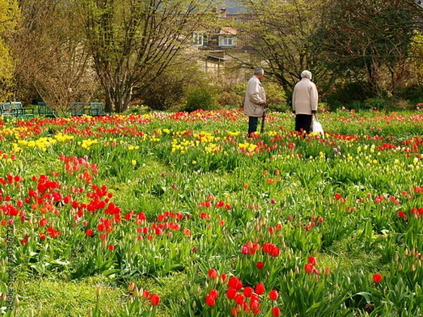 Obraz Erhohlung im Alter