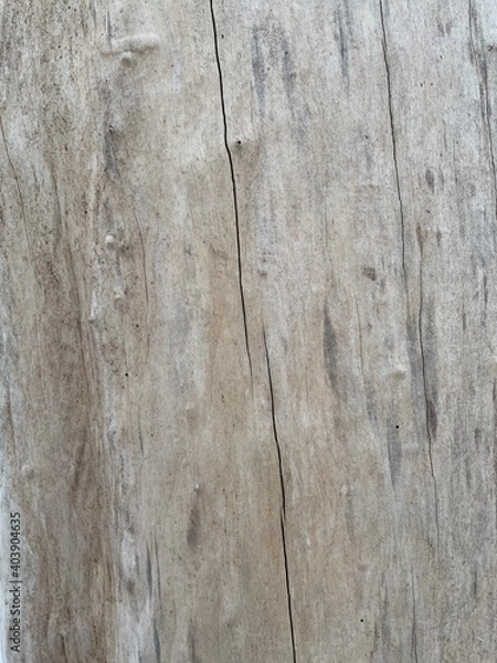 Obraz old wood texture