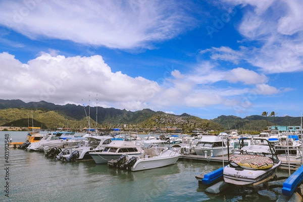 Obraz  wharf in Hawaii kai， Honolulu, Oahu