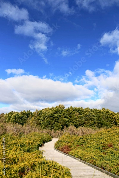 Obraz Pathway to Nature