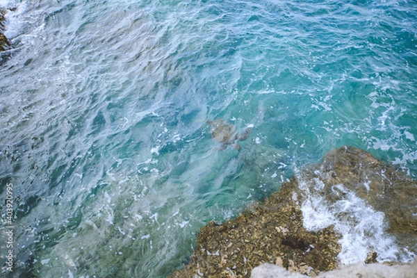 Obraz Laie point, Noeth shore, Oahu, Hawaii