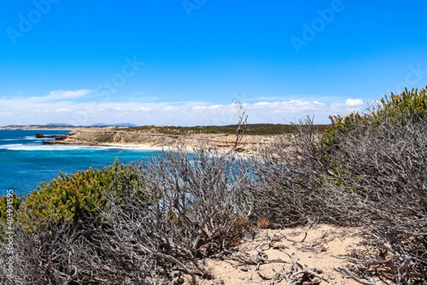 Fototapeta Beach Side Vegetation