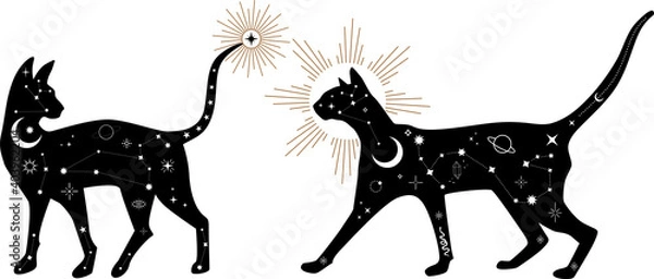 Fototapeta Set of black magical cats, Mystic Sphynx cat with crescent moon esoteric symbol, constellation, stars and magical elements. Magical cat,witchy black cat