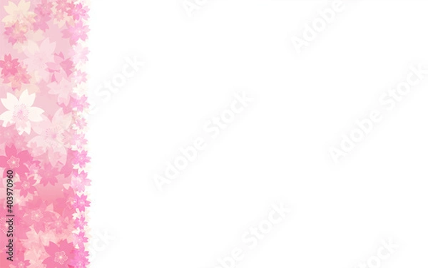 Fototapeta 春の背景素材、桜のフレーム背景、左