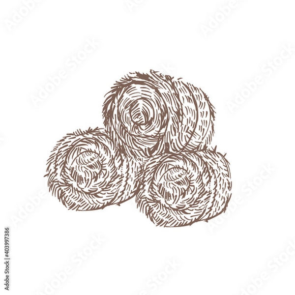 Fototapeta A pile of hay and straw. A roll of dry grass. Hay stack for cows on a white background