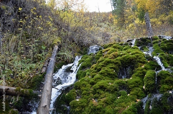 Fototapeta Tourist places of Gorny Altai, Emurlinsky waterfall.