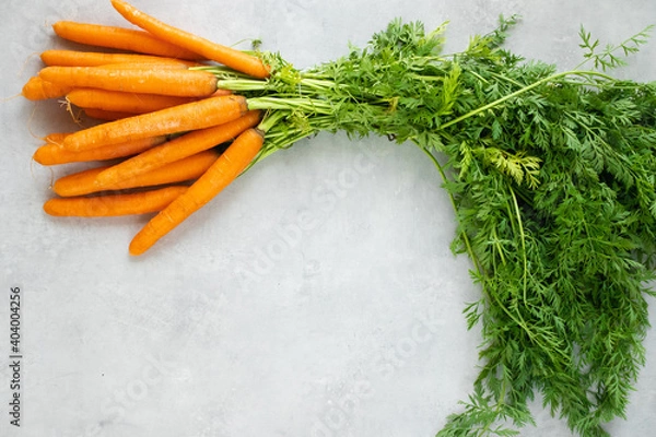Fototapeta Carrots with tops on a grey concrete background