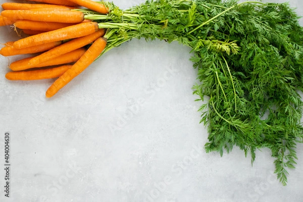 Fototapeta Carrots with tops on a grey concrete background