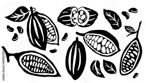 Fototapeta Cocoa pod and many raw beans set isolated on white background. Vector illustration.