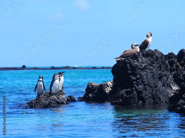 Obraz OLYMPUS DIGITAL CAMERA