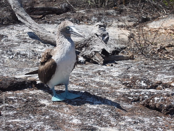 Obraz OLYMPUS DIGITAL CAMERA