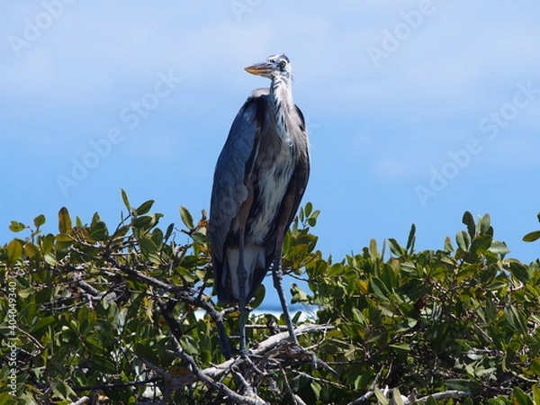 Obraz OLYMPUS DIGITAL CAMERA