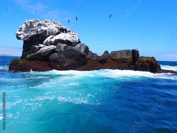 Obraz OLYMPUS DIGITAL CAMERA