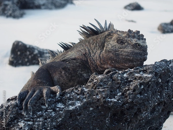 Obraz OLYMPUS DIGITAL CAMERA