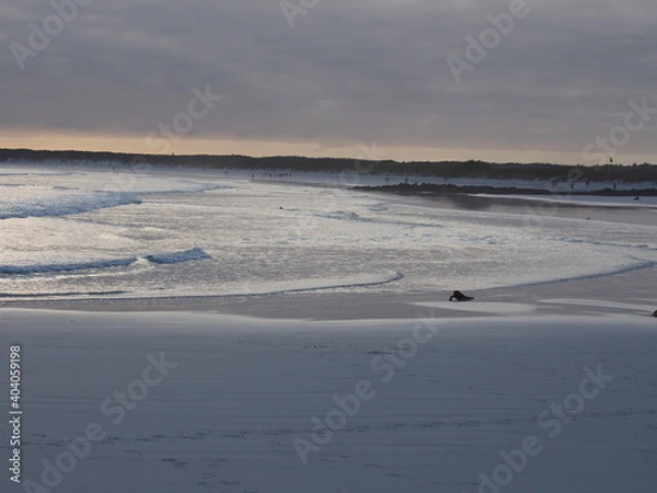 Obraz OLYMPUS DIGITAL CAMERA