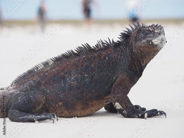 Obraz OLYMPUS DIGITAL CAMERA