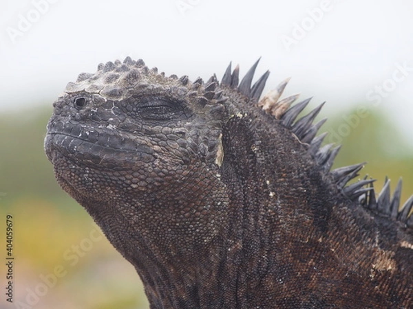 Obraz OLYMPUS DIGITAL CAMERA