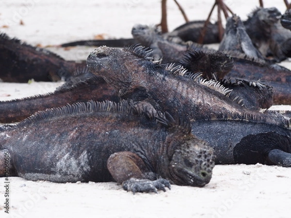 Obraz OLYMPUS DIGITAL CAMERA