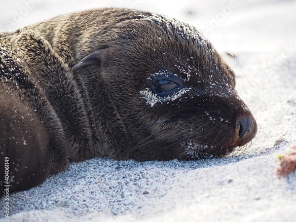 Obraz OLYMPUS DIGITAL CAMERA