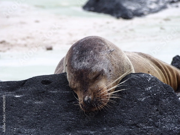 Obraz OLYMPUS DIGITAL CAMERA