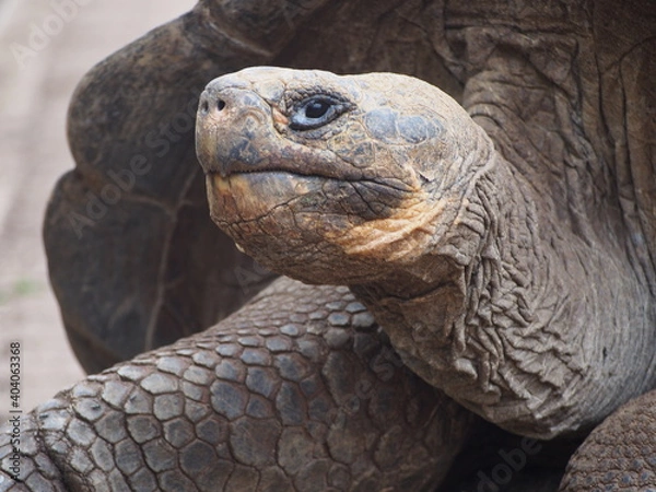 Obraz OLYMPUS DIGITAL CAMERA