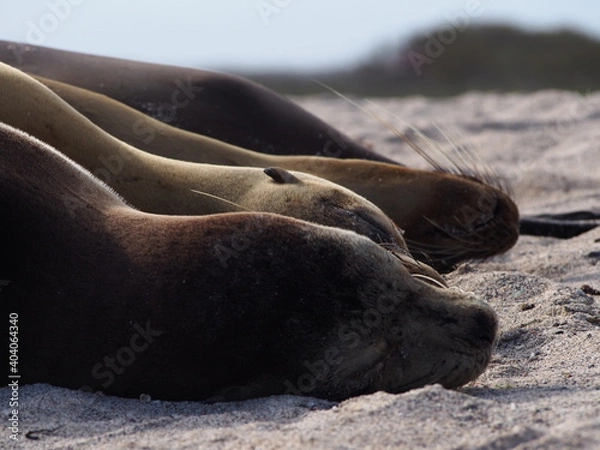 Obraz OLYMPUS DIGITAL CAMERA