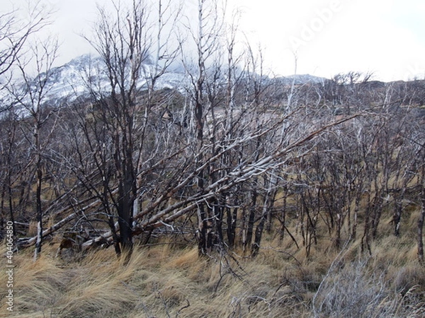 Obraz OLYMPUS DIGITAL CAMERA