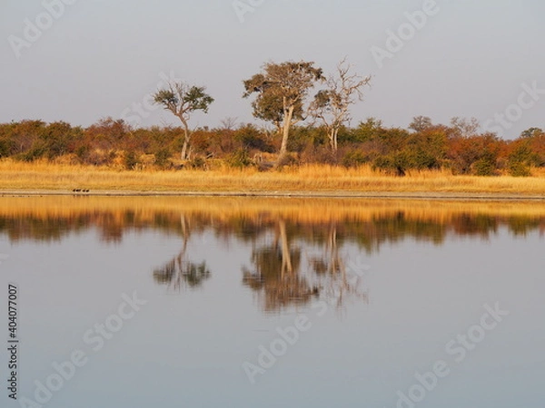 Obraz OLYMPUS DIGITAL CAMERA