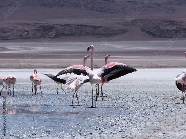 Obraz OLYMPUS DIGITAL CAMERA